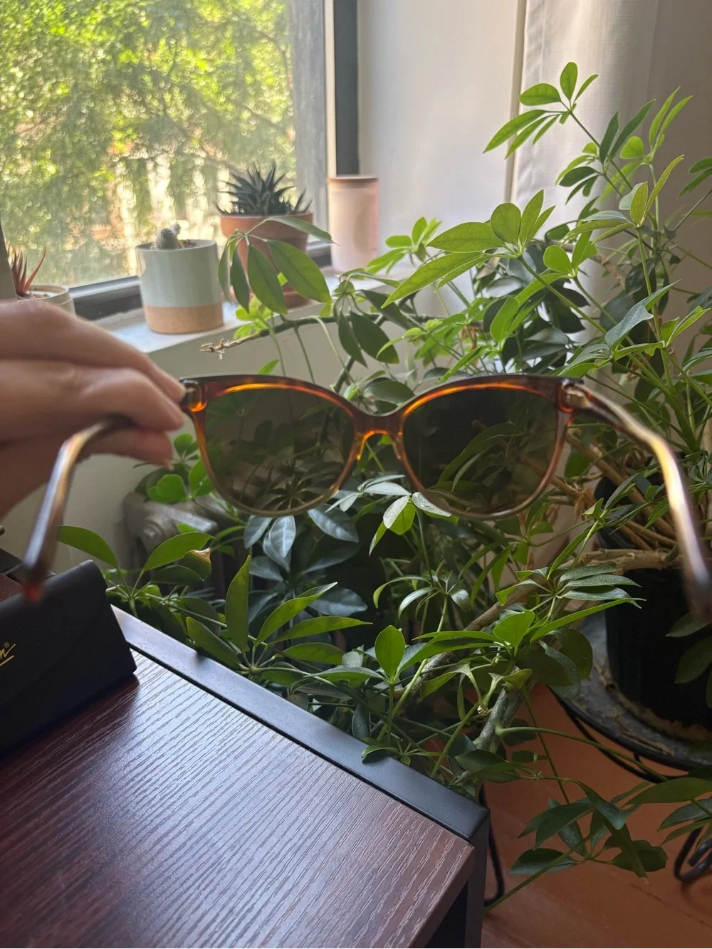 Maui Jim Women's Sunglasses - Tortoiseshell Brown Frame